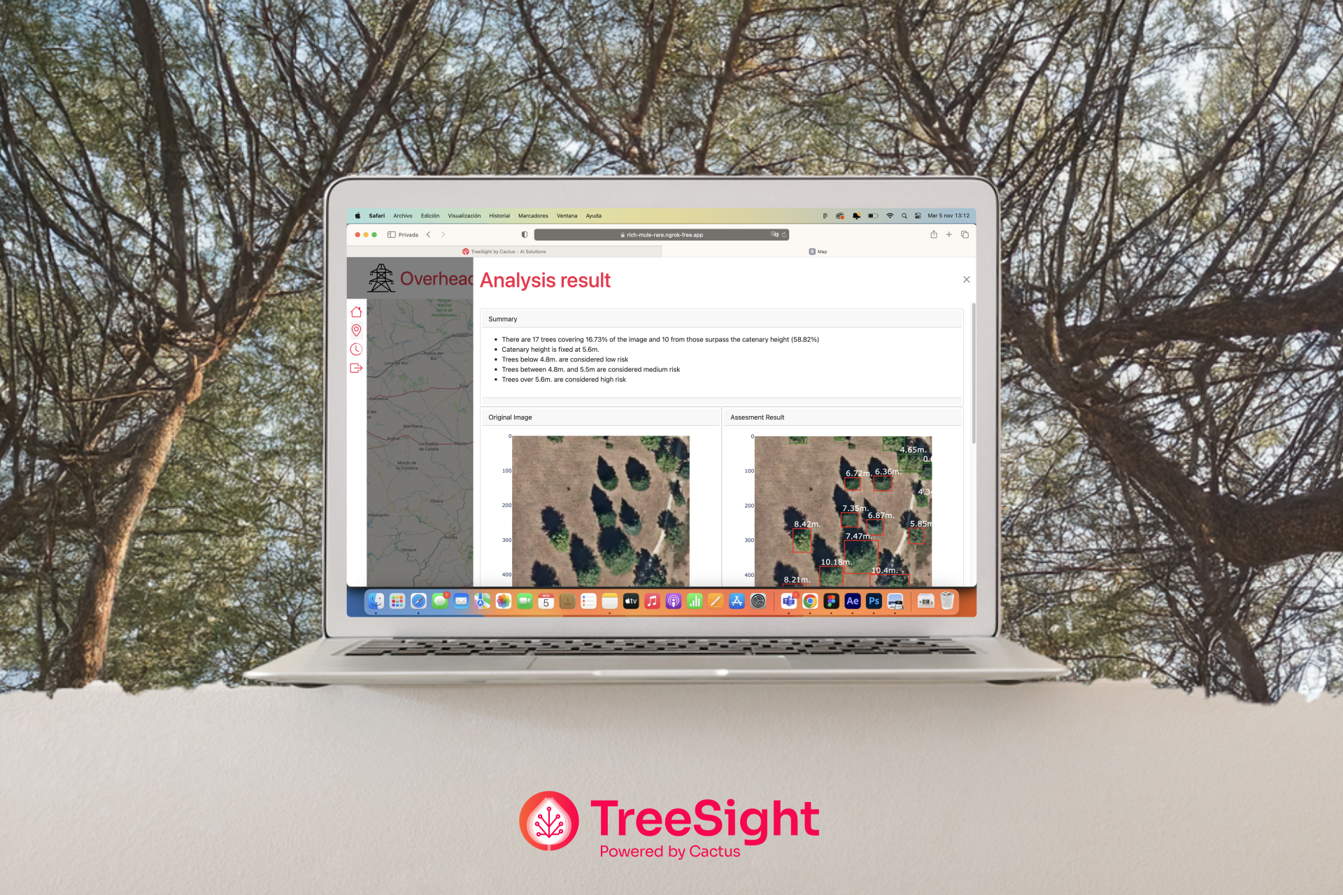 Treesight_Mockup_2