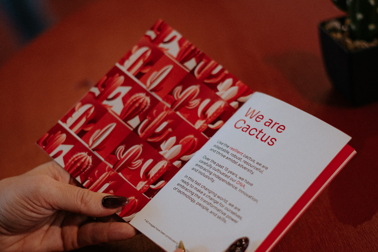 Cactus_Summit_Picture_5